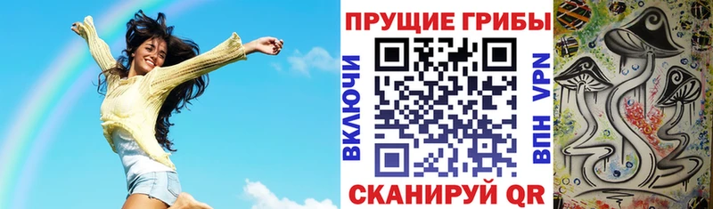 Галлюциногенные грибы мухоморы  мега ТОР  Чекалин 